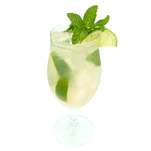 _0001_Slim-Mojito