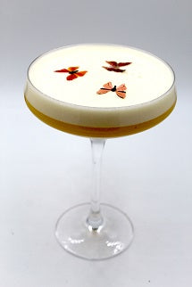 Butterfly Effect FINAL