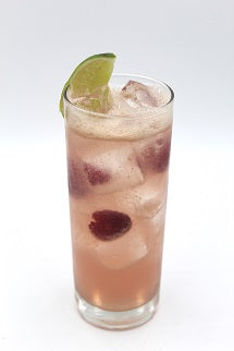 Raspberry Mule FINAL