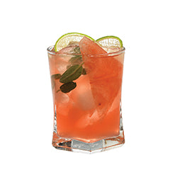 Watermelon-and-Tonic