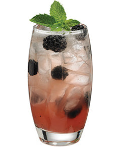 Berry Refreshing&ndash; Master of Mixes