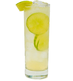 A tall glass of iced lime drink garnished with fresh lime slices on a plain white background