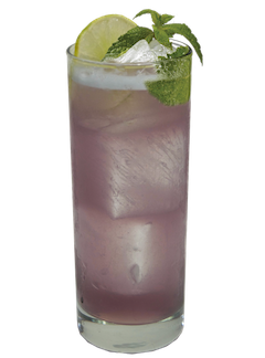 Purple iced cocktail in a tall glass with lime slice and mint sprig on white background