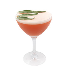 A pink cocktail with a thick white foamy top is served in a coupe glass and garnished with several fresh green leaves.