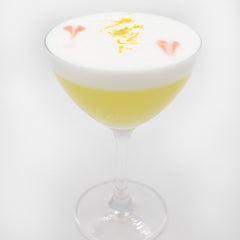 vodka-sour-lemon2