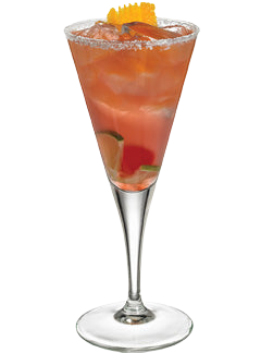An orange-red cocktail with ice and visible citrus slices is served in a tall stemmed glass with a salted rim and garnished with an orange peel.