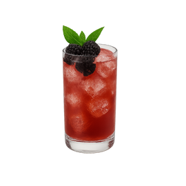 Blackberry Mint Refresher