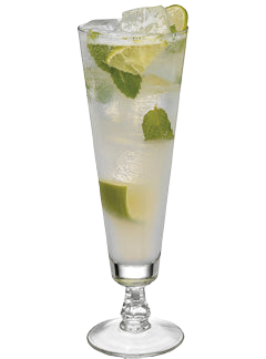 A clear, ice-filled lime cocktail is served in a tall stemmed glass, with lime wedges and fresh mint leaves visible inside and garnishing the top.