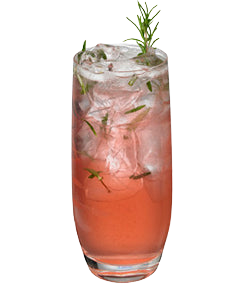 A pink cocktail with ice is served in a tall glass, with rosemary sprigs and small herb pieces visible throughout the drink.