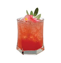 Rocks glass with red iced drink pink flowers sage leaves plain background